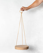 Reclaimed Wood Hanging Plant Hanger