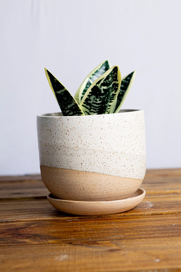 Handmade Ceramic Planter with Saucer
