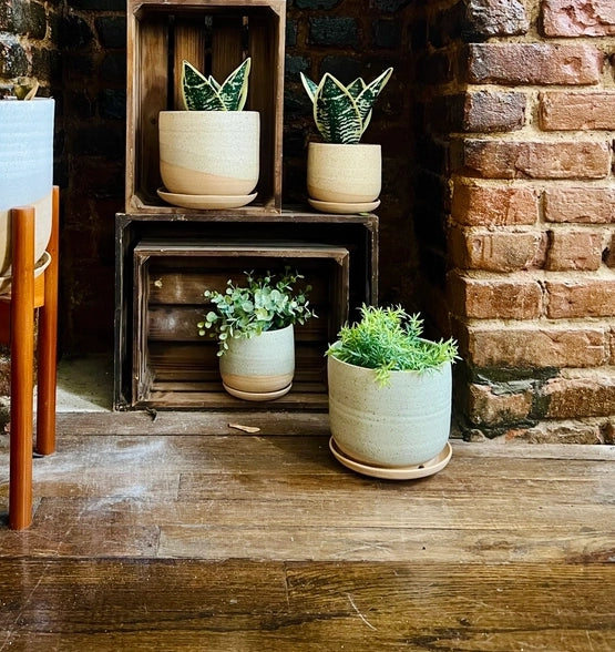 Handmade Ceramic Planter with Saucer