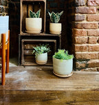 Handmade Ceramic Planter with Saucer