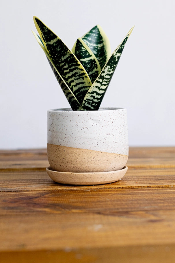 Handmade Ceramic Planter with Saucer