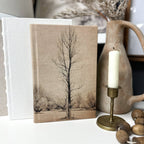 House of Elements Fabric Wrapped Decorative Books