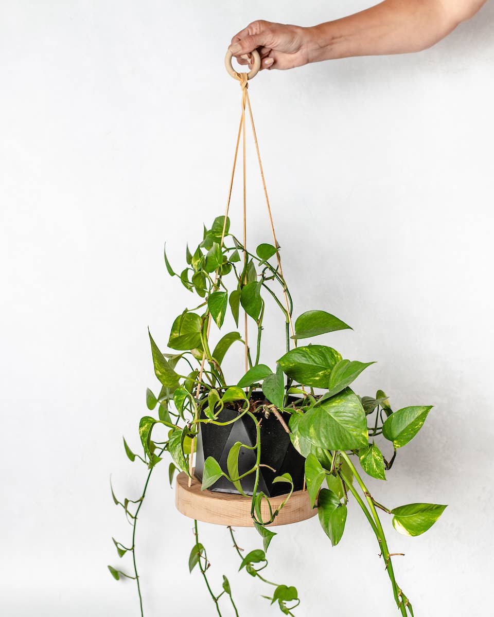 Reclaimed Wood Hanging Plant Hanger